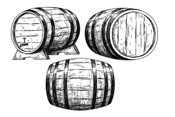 Sketch wine barrels isolated on white background. Vintage illustration.