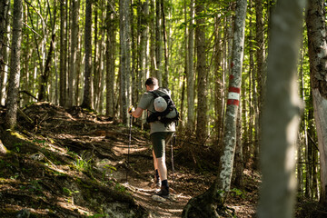 Junger Mann beim wandern auf Wanderweg durch den Wald in der Natur in Österreich