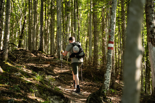 Junger Mann beim wandern auf Wanderweg durch den Wald in der Natur in &Ouml;sterreich