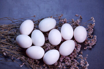 raw white eggs on dried flower