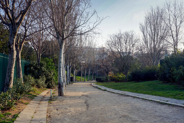 A road in the park