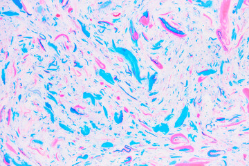 Colorful terrazzo texture. Multicolored spots and inclusions on a white, abstract background.