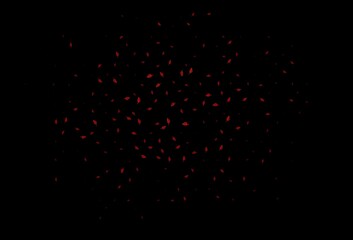 Dark Orange vector doodle texture.