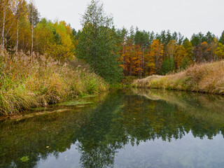 Autumn forest trees are reflected in the river. River in autumn forest. Forest river in autumn