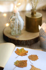 Old book with pressed autumn leaves, lit candles and vase with gypsophila flowers. Selective focus.