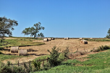 Zorn Texas Hay Field
