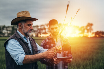 farmers talking outdoor in wheat field
