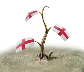 3d sprout with English flag on white