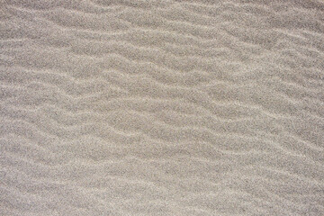 Fototapeta na wymiar gray sandy background with waves. texture of fine sand