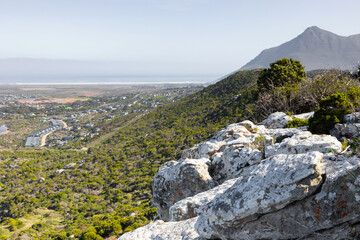 Fototapeta na wymiar Rugged mountain landscape with fynbos flora in Cape Town.