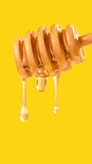 Liquid Organic Honey Dripping from a Honey Dipper on a Light Background. Healthy Food Concept. Golden Honey Drops Pouring and Flowing from Wooden Spoon 