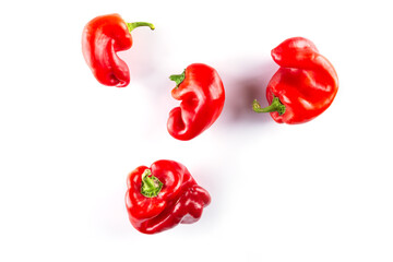 Red paprika peppers on a white background. Horizontal orientation, top view.