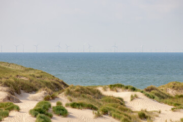 Summer landscape, Overview from the dunes or dyke at Dutch north sea coastline with european marram grass (beach grass) along the dyke, Blurred wind turbine farm in the sea, Noord Holland, Netherlands
