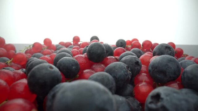 Wild berries, red currants and black lingonberries are poured with water splashes, in slow motion. Fresh fruits for dessert.