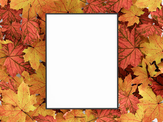 Naklejka na ściany i meble fall frame mockup, autumn background with leaves, 3d render