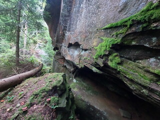 Obraz premium Carpatian landscape. mountain and forest