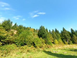 Fototapeta premium Carpatian landscape. mountain and forest