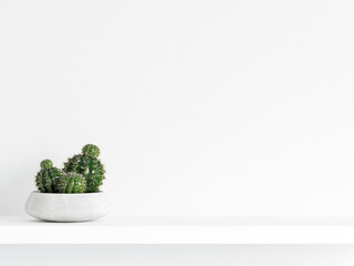 blank wall mockup, product background, white wall with plant, 3d render