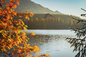 Soft autumn background in mountains. Gentle light, edit space. Beutiful wallpaper for hikers
