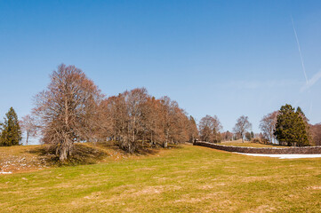 Obergrenchenberg, Bergstrasse, Wanderweg, Wandfluh, Grenchenberg, Jura, Jurasüdfuss, Untergrenchenberg, Grenchen, Solothurn, Aare, Frühling, Winter, Schweiz