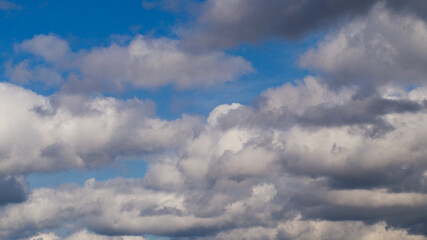 Cumulus de beau temps, moutonnant un ciel limpide, par un temps clément
