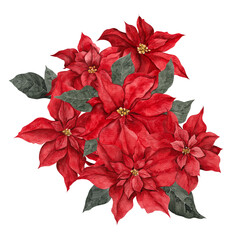 Watercolor illustration with red, white and graphic poinsettia, isolated on white background