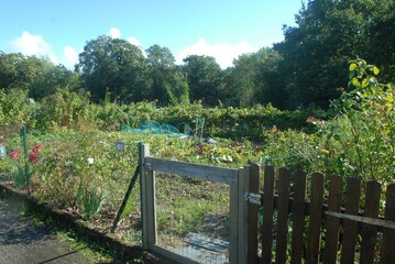 Portail de jardin potager avec diverses plantations en été