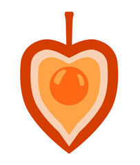 Physalis fruit colored with berries inside for logo or icon design