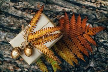 A gift wrapped in craft paper and decorated with dried fern leaves and glass acorns on a tree trunk. 