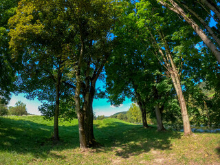 Fototapety na wymiar - Fototapeta24.pl