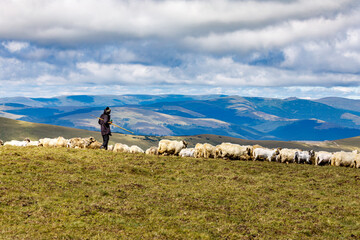 Romanian herder in the carpathian 