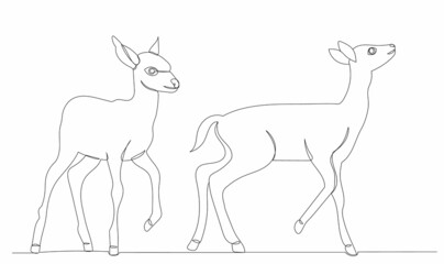 fawn line drawing, on white background, vector