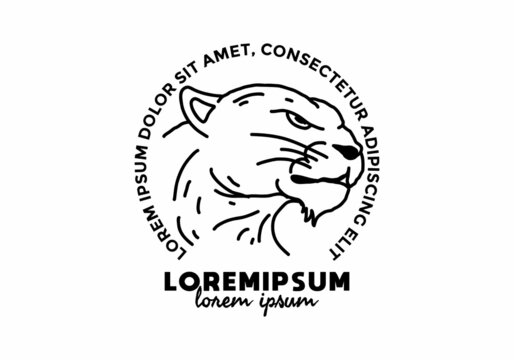 Panther line art illustration with lorem ipsum text