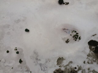 Sand landscape desert coast top down view drone shot with bushes