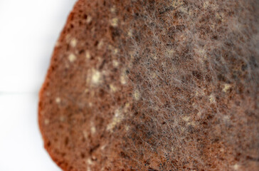 mouldy bread. Rotten and uneatable. food mildew