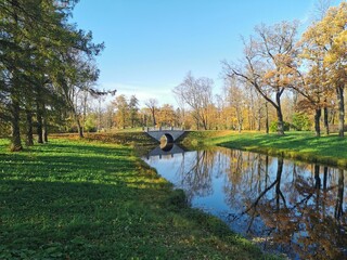 Alexander Park in Pushkin golden autumn yellow leaves blue sky
