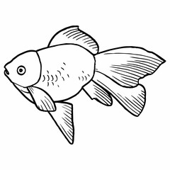 fish sketch vector illustration