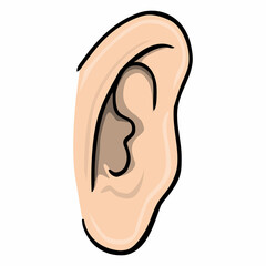 human ear vector illustration