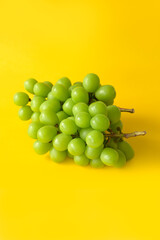 シャインマスカット　イエローバック