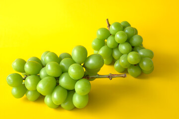 シャインマスカット　イエローバック