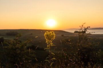 Sonnenuntergang auf den Zickerschen Bergen auf R&uuml;gen