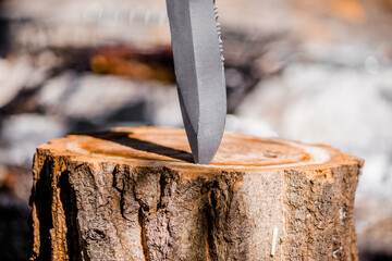 The sharp blade of a knife is stuck in a wooden stump in the forest. High quality photo