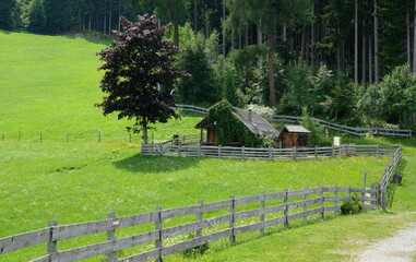 wooden fence between forest and meadow in the mountains