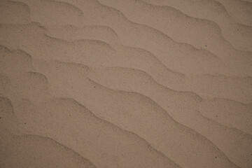 Sea sand. Sandy coast. Sand texture