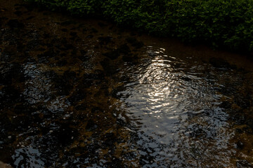 暗い水面を照らす夕日の光
