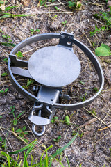 metal veiled trap , masked in green grass , hunting snare device for catching beasts close up