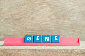 Tile alphabet letter with word gene in red color rack on wood background