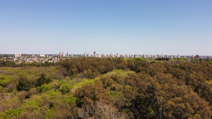 Fototapeta premium Forest and city