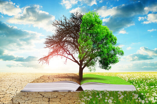 Open book with live and dead tree. Global warming or climate change concepts.