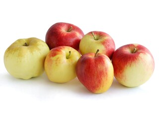 multicolor tasty apples from orchard in summer